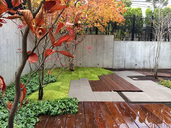 赤く色づいた紅葉の葉が映える中庭。ウッドデッキとスクエアな石畳が組み合わさったモダンなデザイン