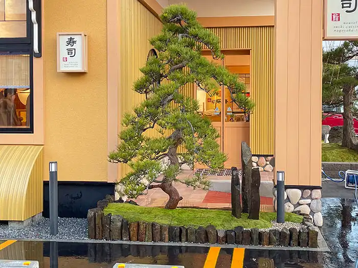 なごやか亭入り口横の植栽。低い石の縁取りの中に、苔と見事な枝ぶりの松、そして垂直に立つ3本の景石が配置された、奥行きを感じさせる和モダンな庭。