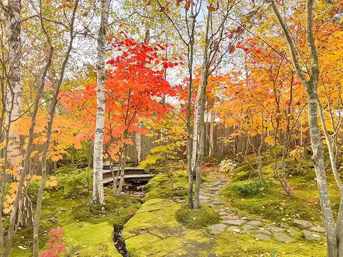 苔の緑と対比する鮮やかな赤色のモミジ、奥へと続く情緒ある石畳の道。