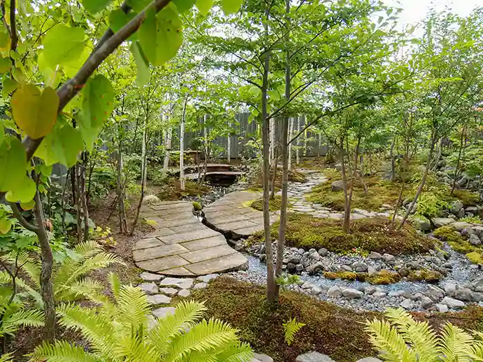 植栽が成長して緑の密度が増し、シダや苔が足元を彩る、生命力あふれる夏の庭の様子。
