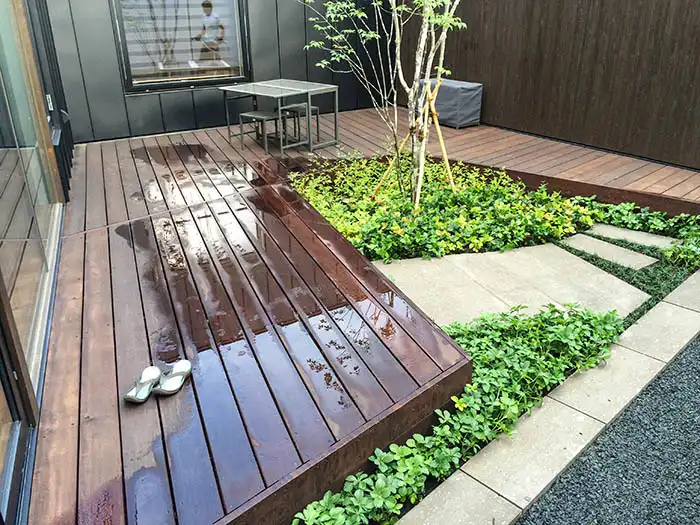 住宅のウッドデッキに隣接した中庭。シンボルツリーの足元に、鮮やかな緑のグランドカバー（フッキソウやアイビー）を敷き詰めた、シンプルで清潔感のあるモダンな根締め。