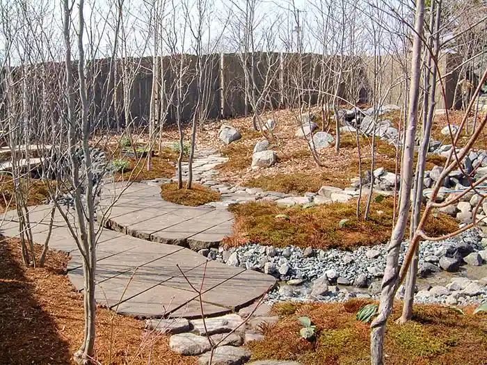 雑木が植えられ、足元には苔やマルチングが施された、完成間近の自然豊かなビオガーデンの小径。