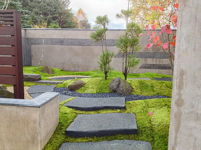 庭の入り口から奥へと続く石畳のステップ。苔の起伏に囲まれた小道の先に、景石と松のような樹木、そして赤く色づいた葉を持つ木が配置されている。背景にはモダンなデザインのコンクリート壁が広がっている。