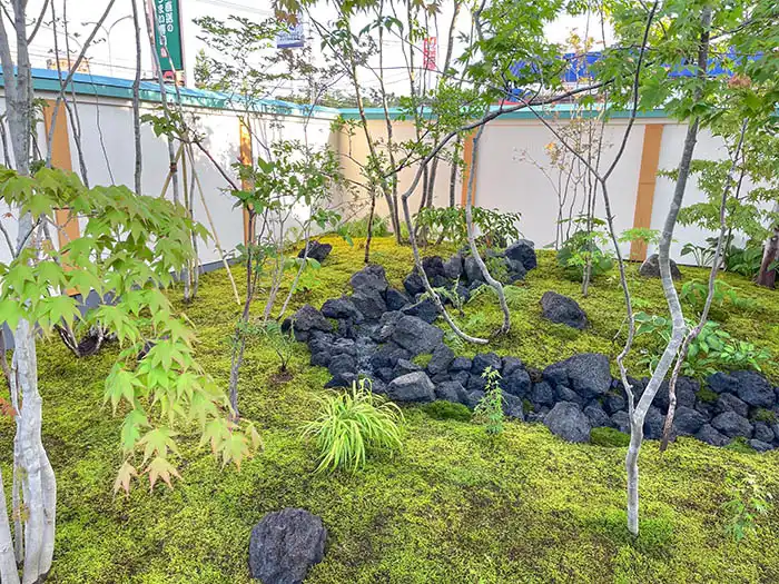 白い外壁を背景に、モミジの新緑と黒い景石がコントラストを成す洗練された中庭。