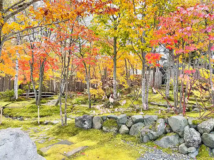 野面石(のづらいし)の石垣に囲まれた、鮮やかな黄葉と紅葉が映える苔庭の全景。