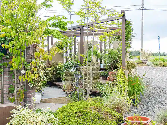 外側から見たショップのパーゴラ構造。レンガ壁や多様な下草が配置され、砂利道に面した開放的な造り。