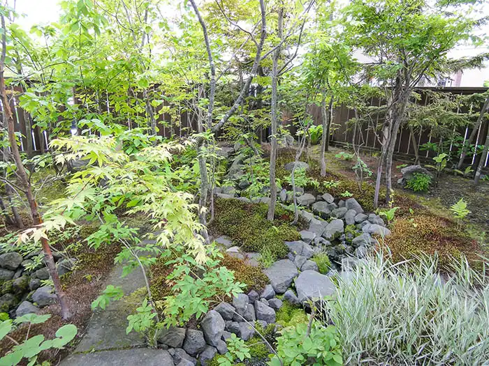 緩やかにカーブする石組みの流れに沿って配置された、モミジや雑木が作る木漏れ日の庭。