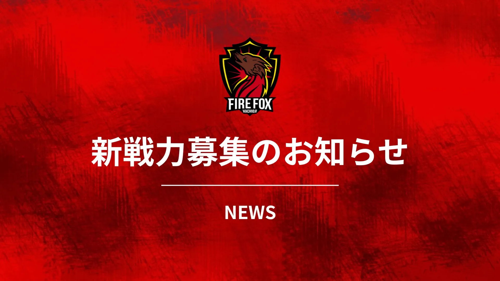 2026シーズン選手募集】関東フットサルリーグ2部所属 ファイル