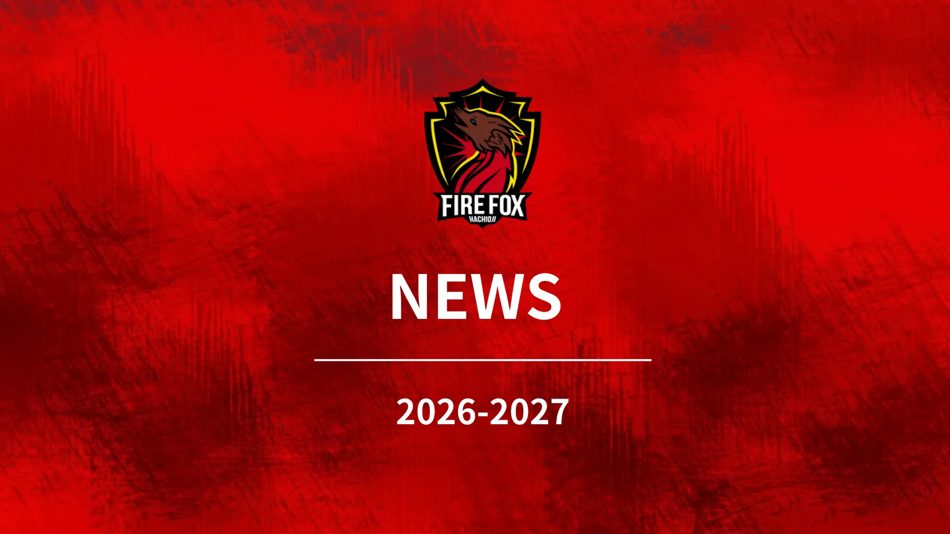 ファイルフォックス八王子 公式サイト｜関東フットサルリーグ2部