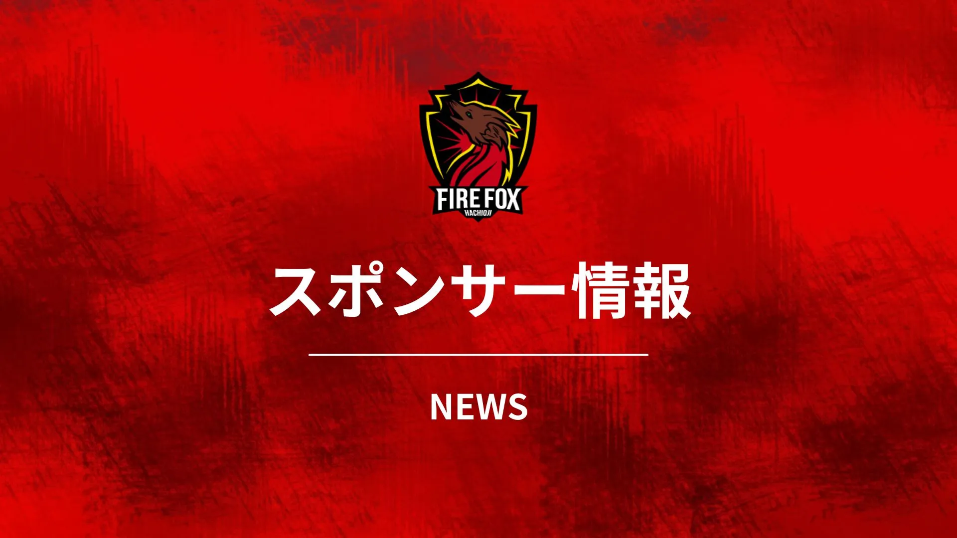 最新ニュース・活動報告