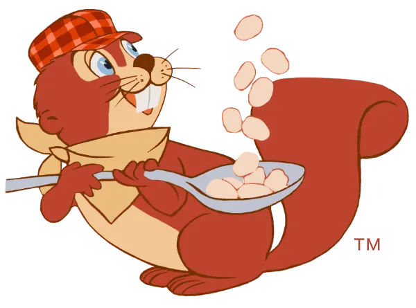 Kellogg's × EFOLE | TOPKAPI EFOLE - CRICKET WEB