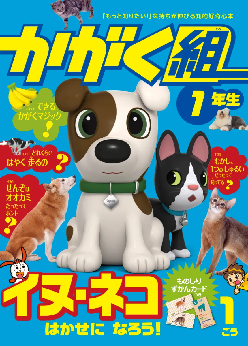 進研ゼミ小学講座かがく組2年生1～12号全て - 絵本