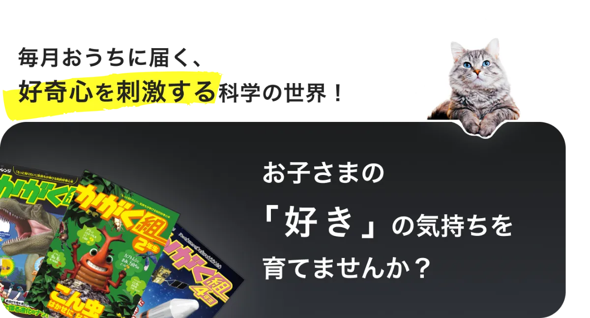 かがく組 | オプション教材 | 進研ゼミ小学講座