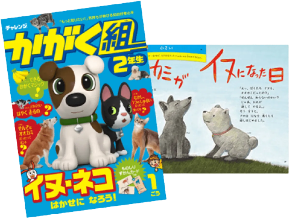 進研ゼミ小学講座かがく組2年生1～12号全て - 絵本