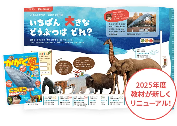 進研ゼミ小学講座かがく組2年生1～12号全て