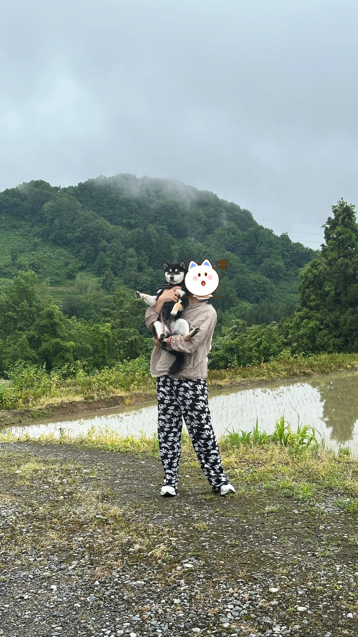 ブログの投稿者の妻と犬の写真