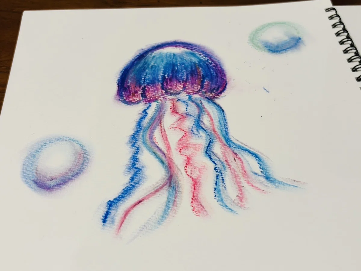 クラゲの絵