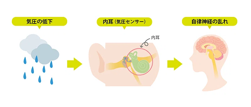 気圧の低下から自律神経が乱れる仕組みのイラスト