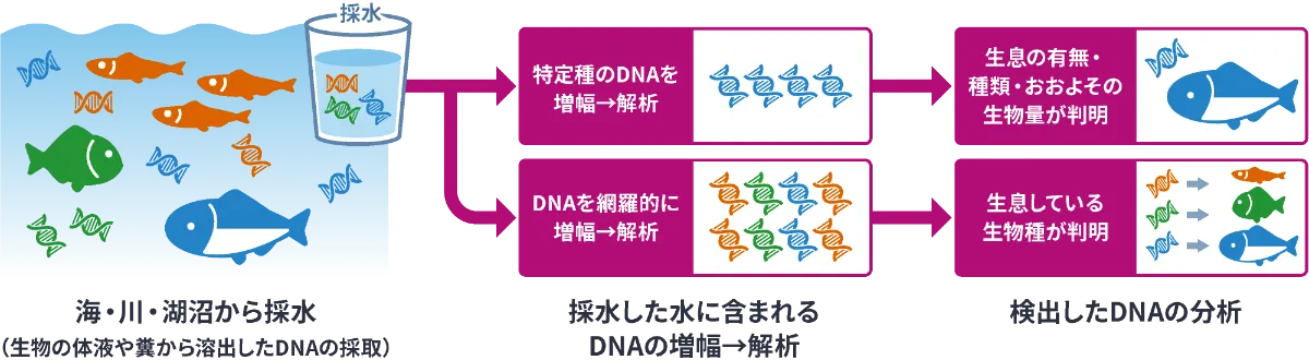 高効率サンプル濃縮技術：QuickConc® キット｜AdvanSentinel