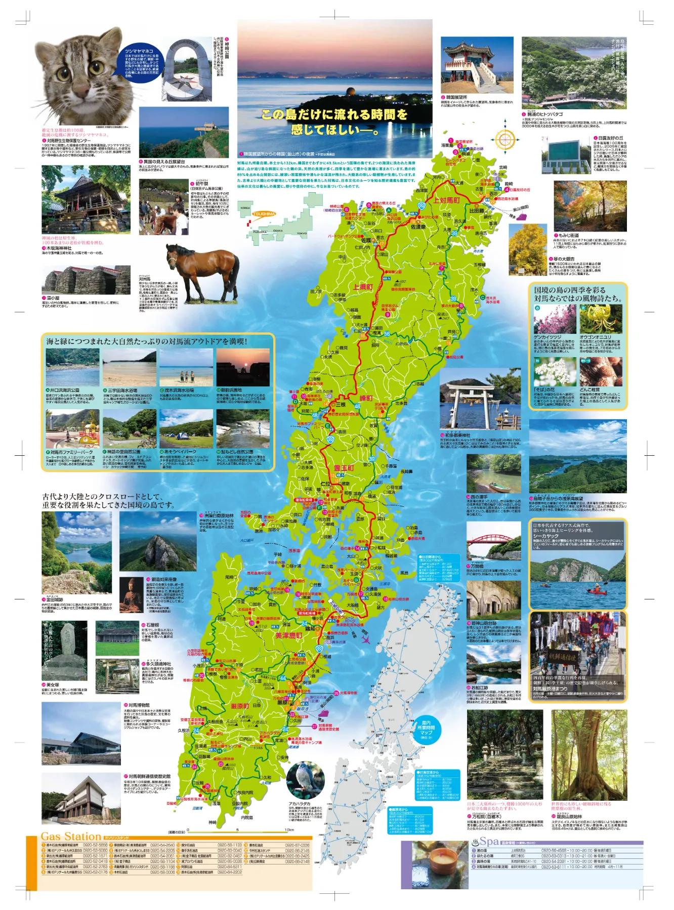 パンフレット｜本物が息づく島 対馬観光物産協会