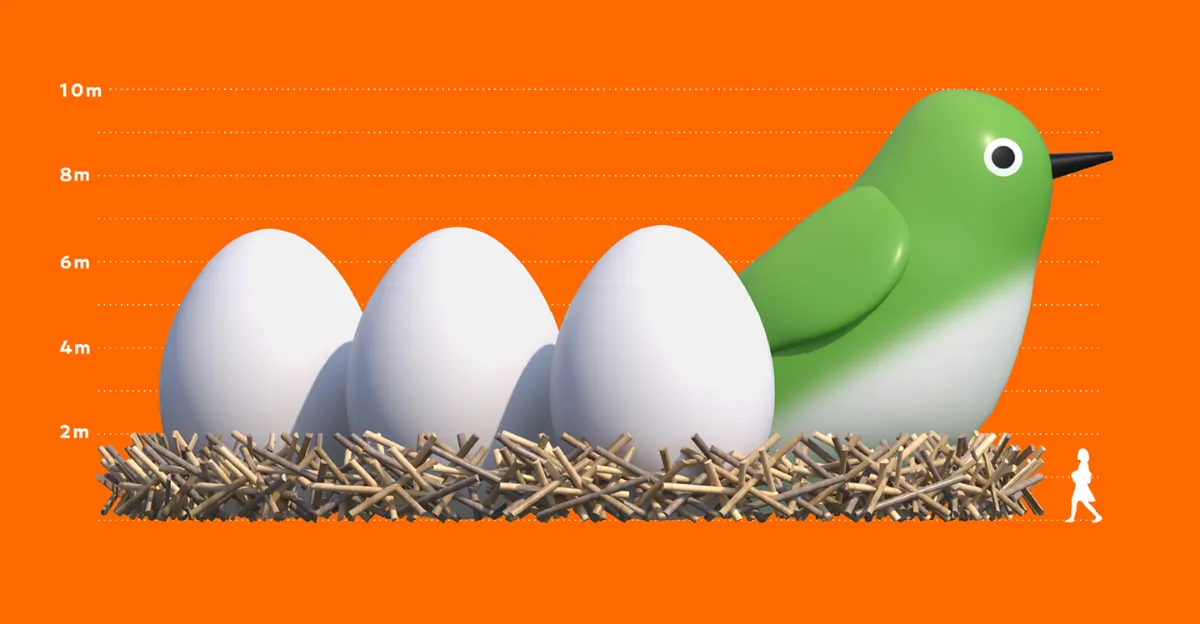 TOSU NESTIVAL | 巨大な鳥の巣に集うカルチャーフェスティバル