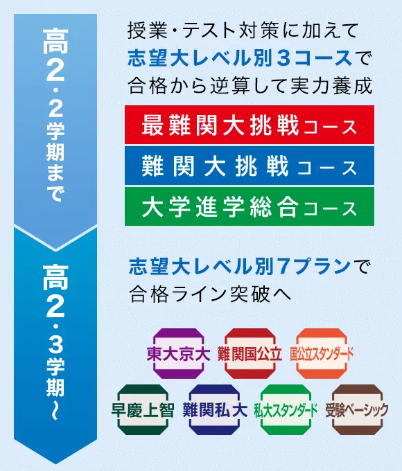 進研ゼミ 高校講座 受験準備Challenge 難関国公立 難関私大 国数英