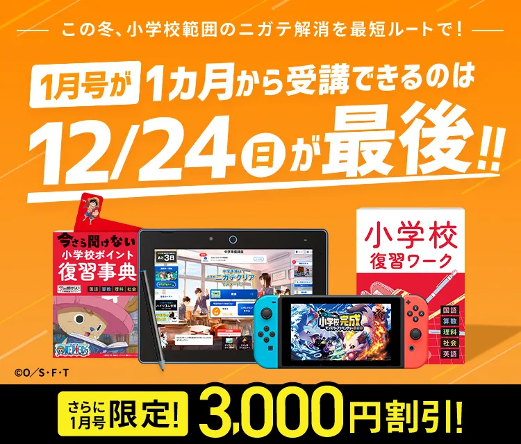 小学校 5年生 カラーテスト 5教科 セット 国語 算数 理科 社会 家庭科 