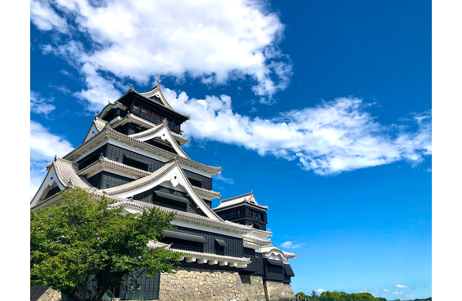 特別版 お城EXPO in 松江 2025 -出展団体-