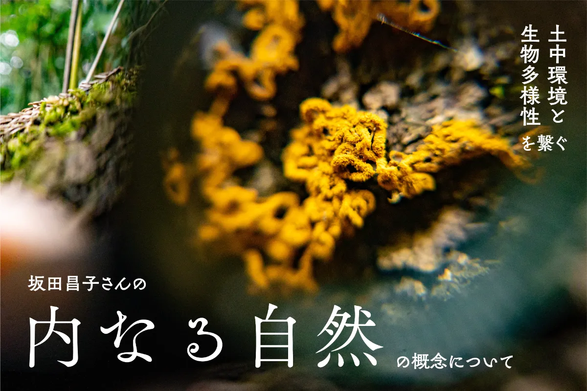 土中環境と生物多様性をつなげる坂田昌子さんの『内なる自然』の概念について