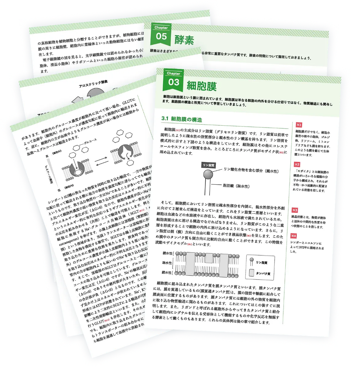 医学部学士編入過去問・再現問題大量セット