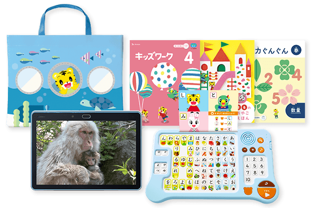 こどもちゃれんじ 全付録 ぷち ぽけっと ほっぷ すてっぷ じゃんぷ 動作確認済 こどもちゃれんじ 全付録 ぷち ぽけっと ほっぷ すてっぷ じゃんぷ