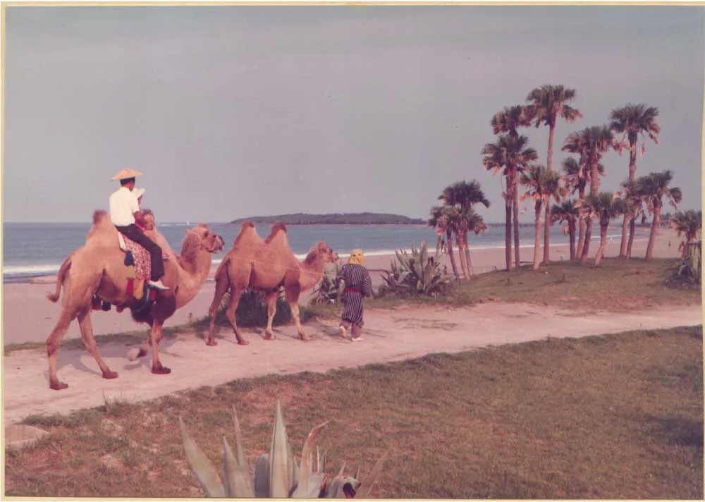 ヒストリー｜こどものくに