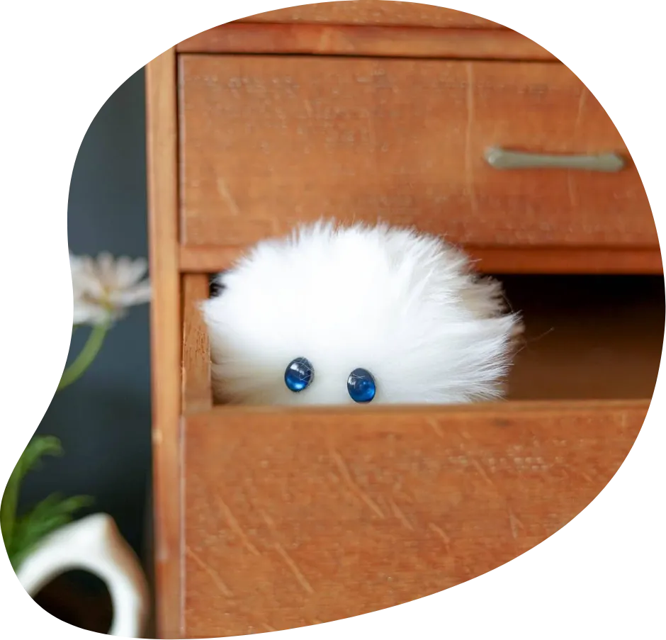 けさぱさふれんず | 公式サイト