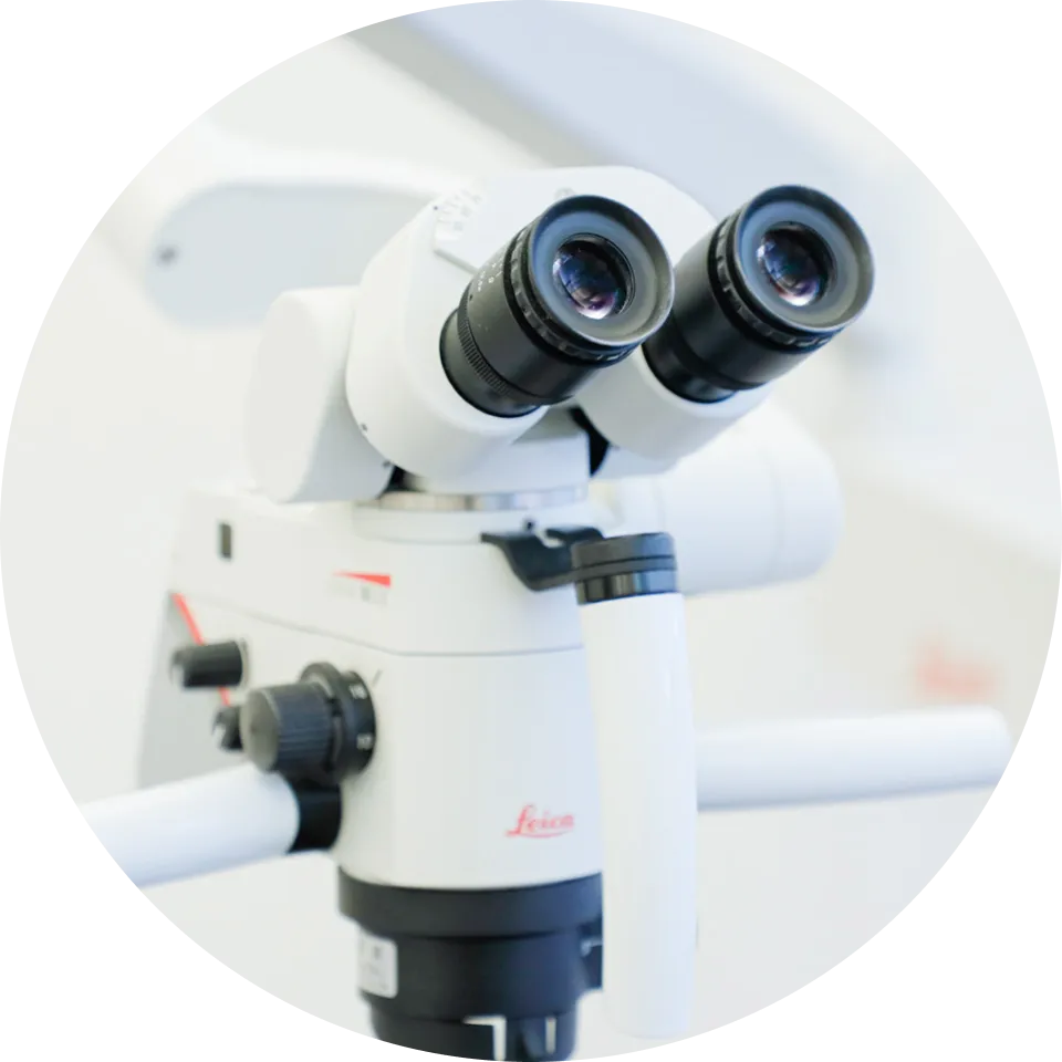 拡大鏡などのイメージ