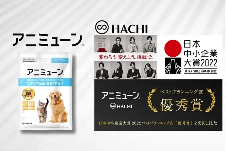 HACHI 採用情報