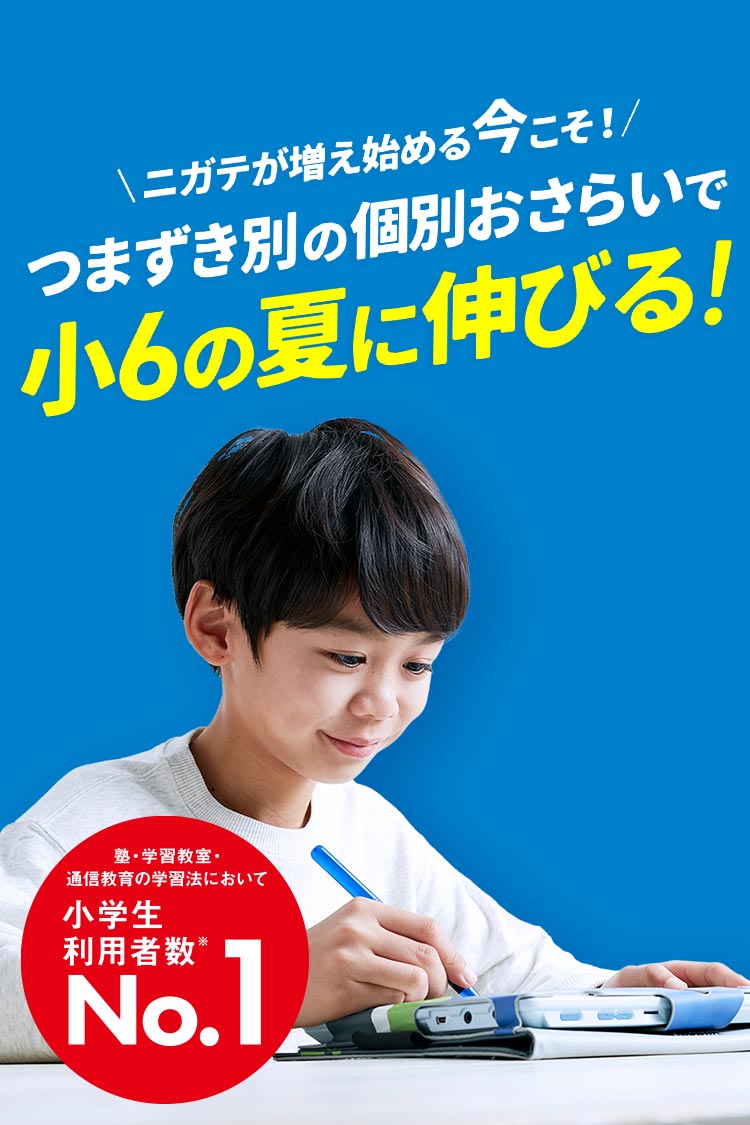 競売 小学6年生 チャレンジ／チャレンジタッチ 進研ゼミ小学講座： | 語学・辞書・学習参考書