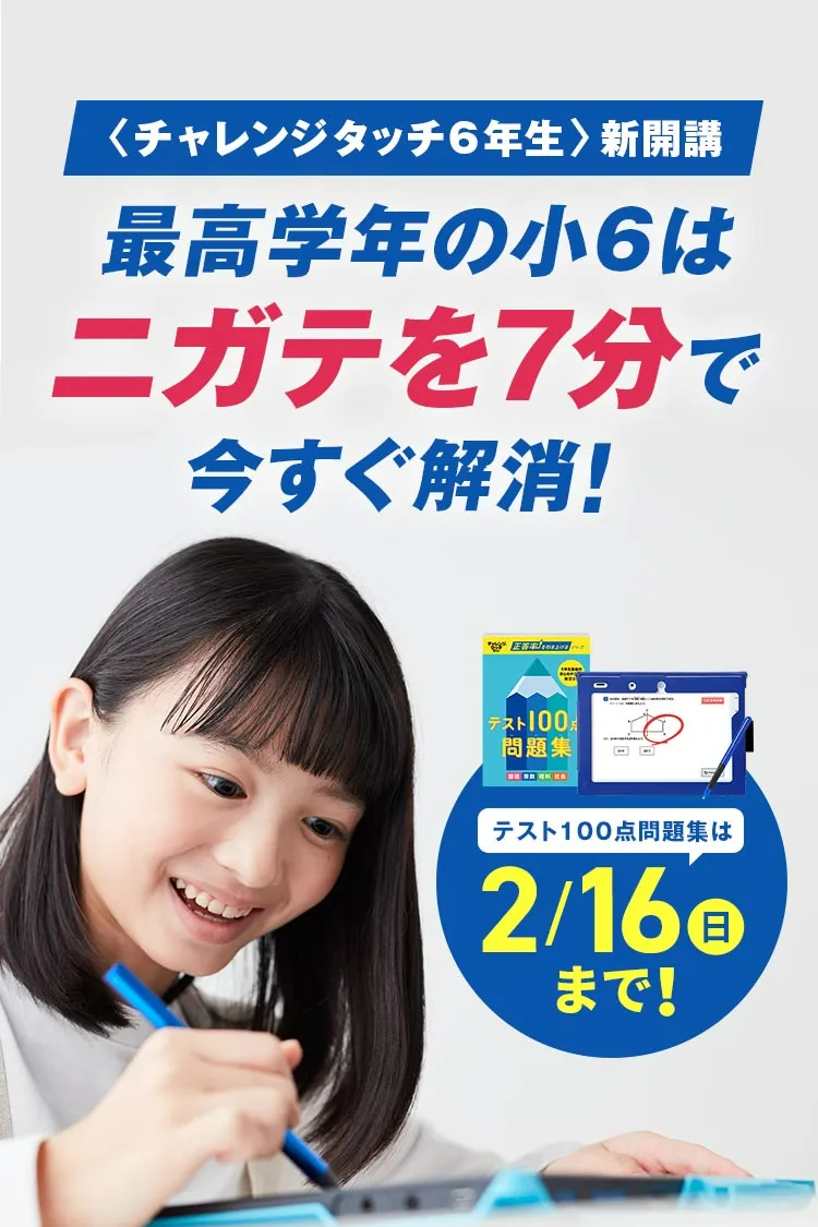 チャレンジ6年生プレンティCD DVD Plenty 研磨研磨機CDR-10