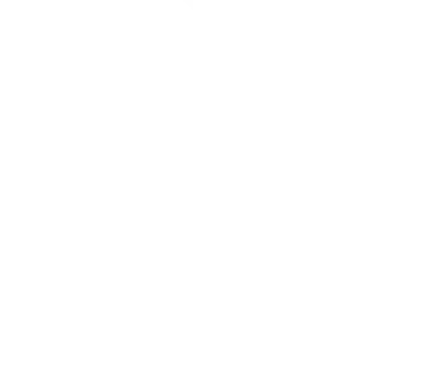 ナデシコ餃子楼