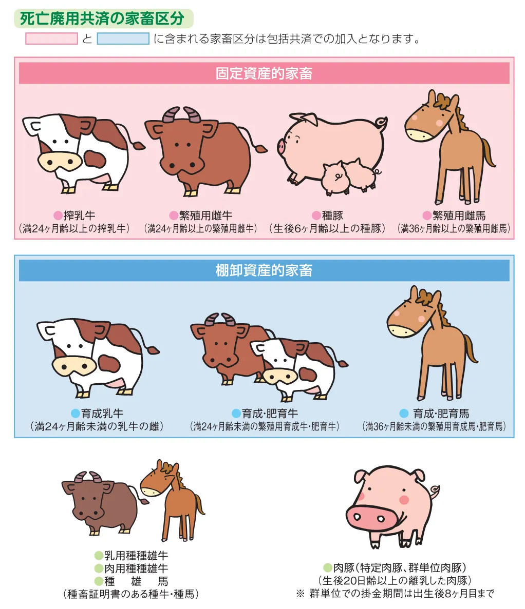 NOSAIとちぎ／家畜共済