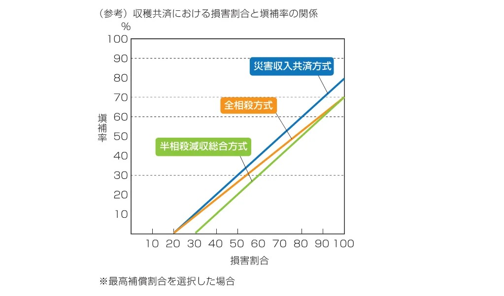 日本における農民層の分解（送料込） 日本における農民層の分解（送料込）-格安激安