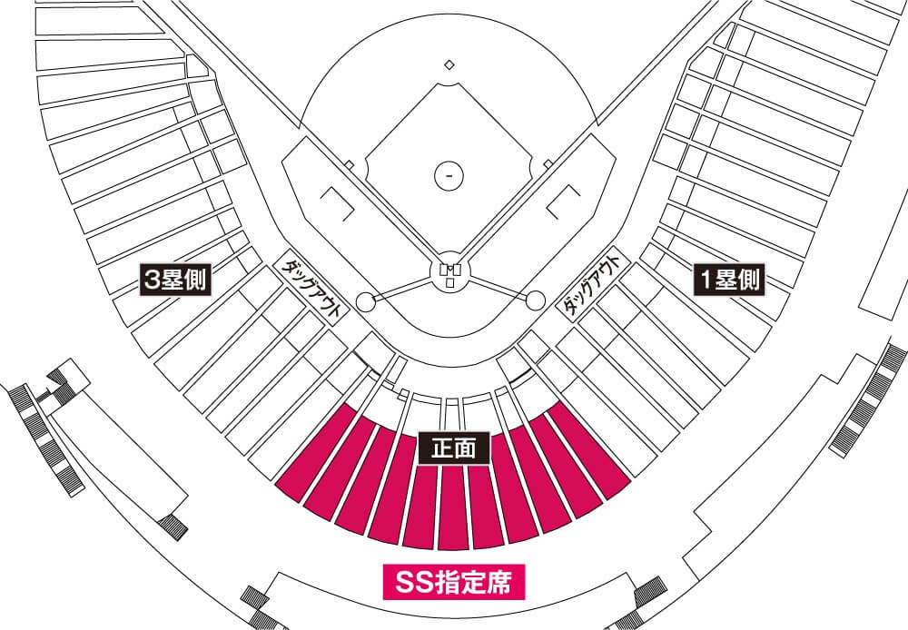 SS指定席｜広島東洋カープ公式サイト