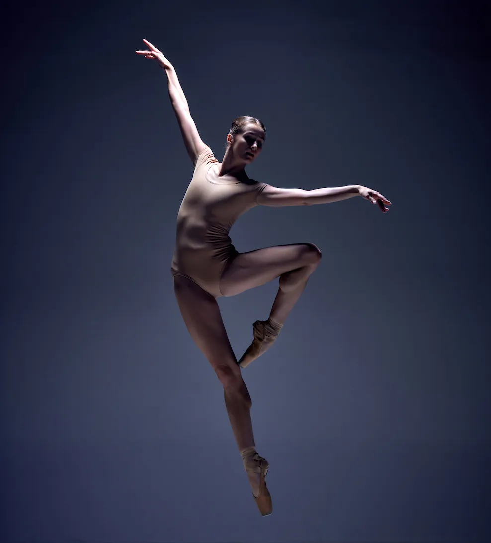 Freed Studio II トゥシューズ S 5D Freed Studio II トゥシューズ S 5D FREEDトゥシューズ】新しい