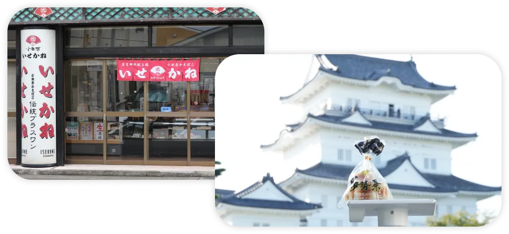 小田原蒲鉾 いせかね ｜創業1830年