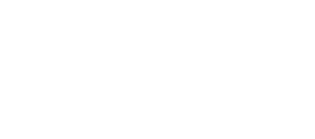 Nudge ラファエル