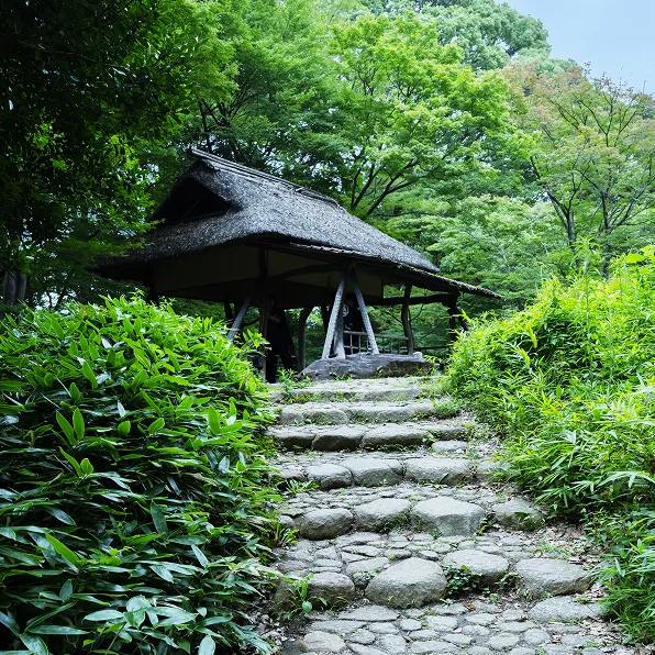 つつじ茶屋