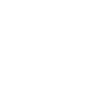 期待できる効果を表現した画像