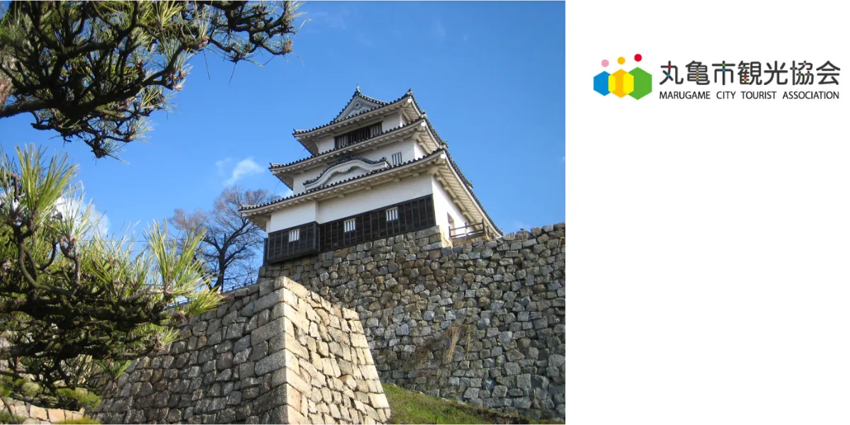 大人も着やすいシンプルファッション 出張!お城 EXPO 2024 坂井・丸岡城 in コレクション