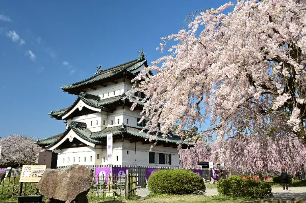 松江城、丸亀城【お城EXPO丸岡限定】 特別版 お城EXPO in 松江 2025 -出展団体-
