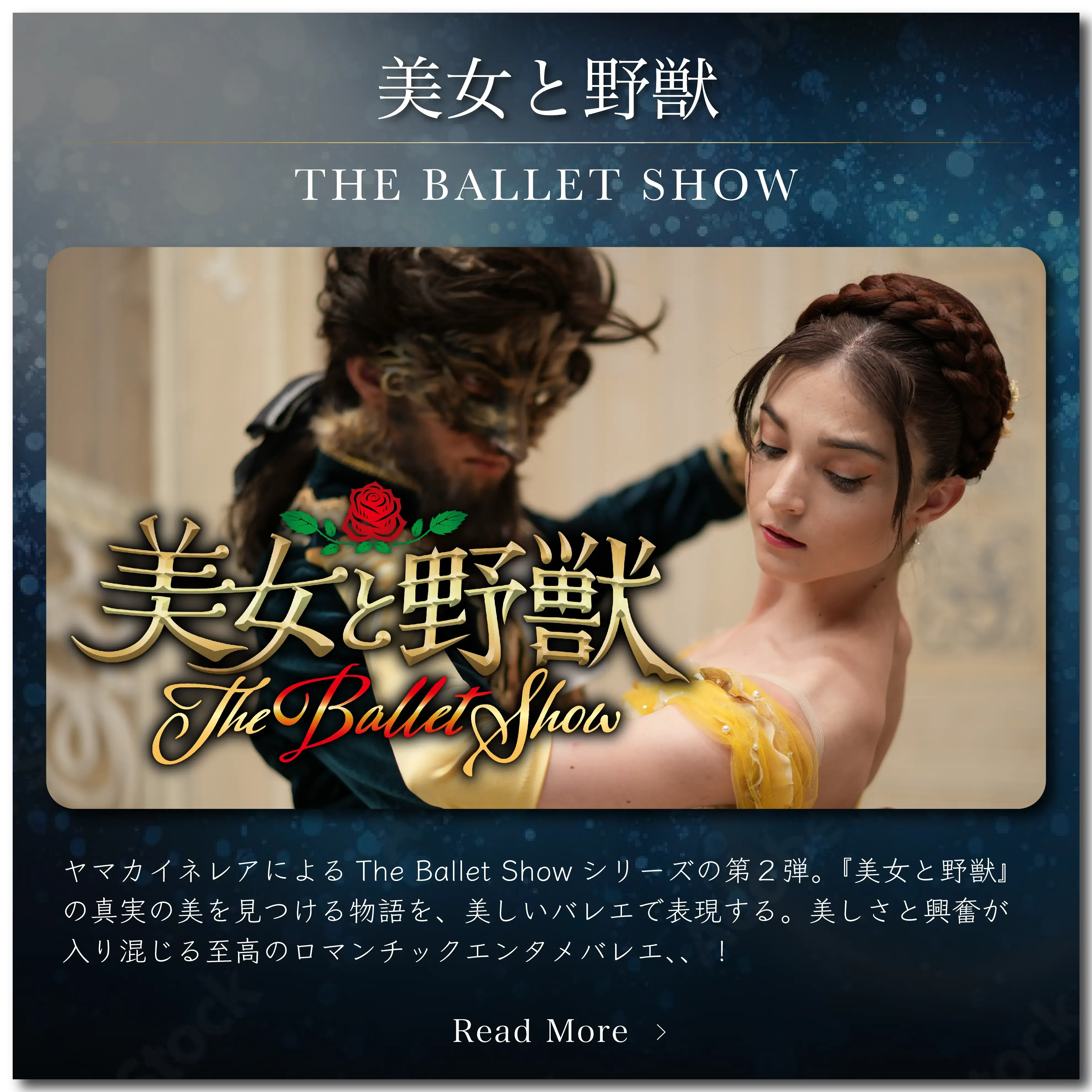 THE BALLET SHOW -どなたでも最高に楽しめるバレエ公演をお魅せ