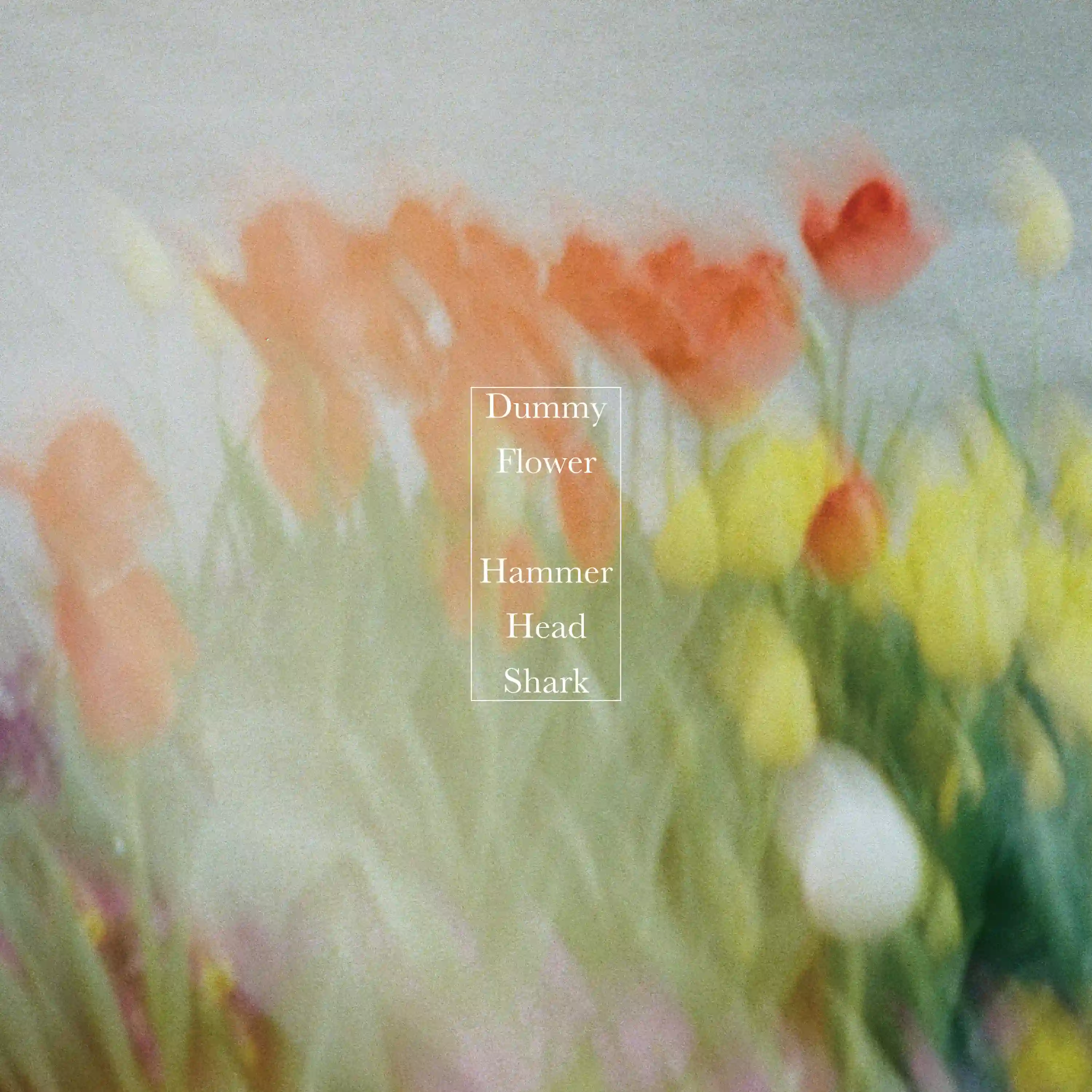 Hammer Head Shark　 LP　27°C　レコード 27℃/Hammer Head Shark